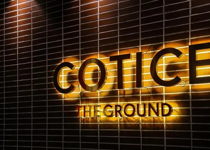 Nampo Cotice The Ground